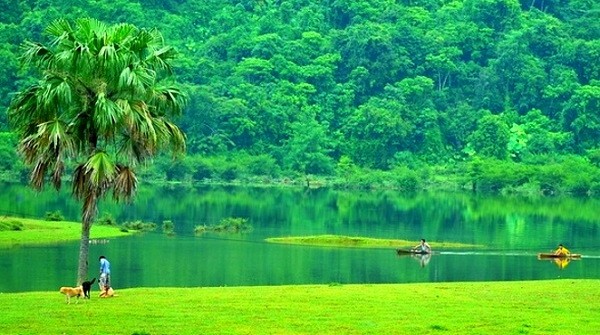 Rừng[-]cây[-]hồ[-]Noong,[-]Việt[-]Nam-Ảnh:[-]TL